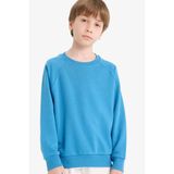 Defacto Bisiklet Yaka Basic Düz Okul Sweatshirt Erkek Çocuk, 8-9 Yaş, E8415A825AU, Mavi-BE278, erkek-çocuk, 8/9 Yaş (134cm)