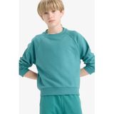 Defacto Bisiklet Yaka Basic Düz Okul Yeşil Erkek Çocuk Sweatshirt, 5-6 Yaş, E8415A825AU, Yeşil-GN1270, erkek-çocuk, 5/6 Yaş (116cm)