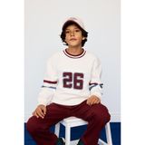 DeFacto Bisiklet Yaka Baskılı İçi Yumuşak Tüylü Sweatshirt Erkek Çocuk G4379A825WN