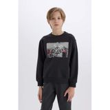 Defacto Bisiklet Yaka Baskılı Sweatshirt Erkek Çocuk, 8/9 Yaş (134cm), D3038A824WN, Antrasit, erkek-çocuk