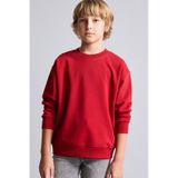 Defacto Bisiklet Yaka İçi Yumuşak Tüylü Basic Sweatshirt Erkek Çocuk I1419a826wnbr244 Kırmızı-br244
