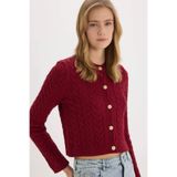 DeFacto Bisiklet Yaka Triko Hırka, S, C9044AX25SP, Bordo-BR285, Kadın
