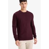 DeFacto Bisiklet Yaka Triko Kazak Bordo, S, F1777AX25AU, Bordo-BR464, Erkek