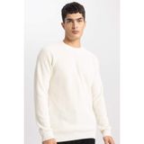 Defacto Bisiklet Yaka Triko Kazak Ekru, 2XL, A8458AX24SP, Ekru-ER100, Erkek, XXL