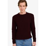 DeFacto Bisiklet Yaka Triko Kazak, S, G6388AX25CW, Bordo-BR230, Erkek