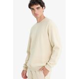 DeFacto Boxy Fit Bisiklet Yaka Basic Düz Pike Sweatshirt, M, E1519AX25SP, Bej-BG155, erkek