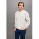 DeFacto Boxy Fit Bisiklet Yaka Basic Düz Pike Sweatshirt, XS, E1519AX25AU, Bej-BG766, erkek