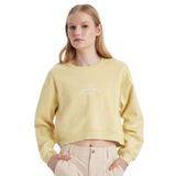 DeFacto Boxy Fit Bisiklet Yaka Baskılı Kalın Sweatshirt, 2XL, C5385AX23CW, Yeşil-GN657, kadın