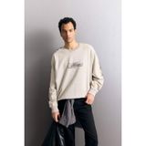 Defacto Boxy Fit Bisiklet Yaka Baskılı Sweatshirt, L, G4355AX25WN, Gri-GR368, Erkek