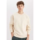 DeFacto Boxy Fit Bisiklet Yaka Baskılı Sweatshirt, M, X8282AZ24AU, Bej, erkek