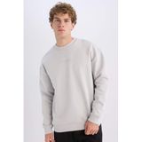 DeFacto Boxy Fit Bisiklet Yaka Baskılı Sweatshirt, XL, X8282AZ24AU, Gri-GR184, erkek