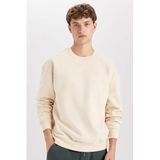 DeFacto Boxy Fit Bisiklet Yaka Baskılı Sweatshirt, XS, 3124494, Bej, erkek