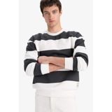 DeFacto Boxy Fit Bisiklet Yaka Çizgili Sweatshirt, L, A9066AX25AU, Antrasit-AR104, erkek