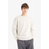 DeFacto Boxy Fit Bisiklet Yaka İçi Yumuşak Tüylü Baskılı Sweatshirt, XL, X8282AZ25AU, Bej-BG672, erkek