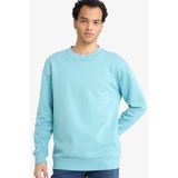 DeFacto Boxy Fit Bisiklet Yaka İçi Yumuşak Tüylü Baskılı Sweatshirt, XS, X8282AZ25AU, Yeşil, erkek