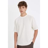 DeFacto Boxy Fit Bisiklet Yaka Kısa Kollu Basic Düz Tişört, XS, C8724AX24AU, Ekru-ER105, Erkek