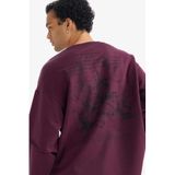 DeFacto Boxy Fit Bisiklet Yaka Sırt Baskılı Sweatshirt, L, G4352AX25WN, Bordo-BR171, erkek