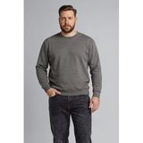 DeFacto Boxy Fit Büyük Beden Bisiklet Yaka Pike Sweatshirt, 3XL, H1001AX26SP, Gri-GR206, erkek