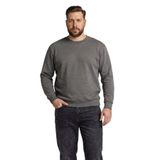 DeFacto Boxy Fit Büyük Beden Bisiklet Yaka Pike Sweatshirt, 5XL, H1001AX26SP, Gri-GR206, erkek