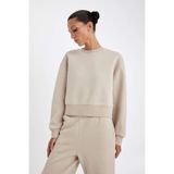 DeFacto Boxy Fit Kalın Basıc Sweatshirt, XL, B8568AX24WN, Bej-BG187, kadın
