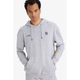 DeFacto Boxy Fit Kapüşonlu Sweatshirt, L, F8656AX26SP, Gri-GR389, erkek