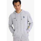 DeFacto Boxy Fit Kapüşonlu Sweatshirt, XS, F8656AX26SP, Gri-GR389, erkek