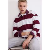 DeFacto Boxy Fit Polo Yaka Çizgili Sweatshirt, M, G5091AX25WN, Bordo-BR194, erkek