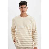DeFacto Comfort Regular Fit Rahat Kalıp Bisiklet Yaka Çizgili Kalın Sweatshirt D2397AX24AU - Ekru-ER42