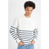 DeFacto Comfort Regular Fit Rahat Kalıp Bisiklet Yaka Çizgili Kalın Sweatshirt D2397AX24AU