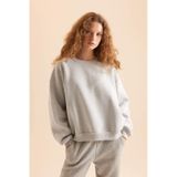 DeFacto Coool Oversize Geniş Kalıp Bisiklet Yaka Basic Düz Kalın Kumaş İçi Yumuşak Tüylü Sweatshirt D9022AXNSGR210 Gri