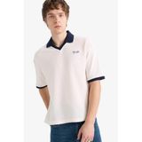 DeFacto Dokulu Boxy Fit Polo Tişört, L, F8352AX26SP, Ekru, Erkek