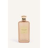 DeFacto Erkek 50 ml Nomad Amber Parfüm H0867AXNS