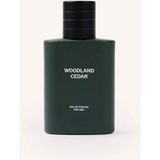DeFacto Erkek 50 ml Woodland Cedar Parfüm I0231AXNS - Yeşil