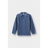 DeFacto Erkek Bebek Polo Yaka Triko Kazak, 9-12 Ay, F2441A525WN, Mavi-BE418, Bebek-Erkekler