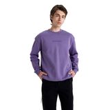 DeFacto Erkek Boxy Fit Bisiklet Yaka Sweatshirt,Koyu Mor, S