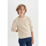 DeFacto Erkek Çocuk Bej Bisiklet Yaka Basic Düz Triko Kazak C9468A824AU - Bej-BG302 - 7 - 8 Yaş