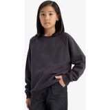 DeFacto Erkek Çocuk Bisiklet Yaka Basic Düz Okul Sweatshirt E8415A825AU - 5 - 6 Yaş - Antrasit-AR138