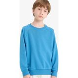 DeFacto Erkek Çocuk Bisiklet Yaka Basic Düz Okul Sweatshirt E8415A825AU - 5 - 6 Yaş - Mavi-BE278