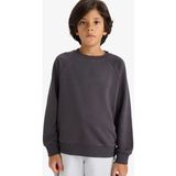 DeFacto Erkek Çocuk Bisiklet Yaka Basic Düz Okul Sweatshirt E8415A825AU - 8 - 9 Yaş - Antrasit-AR138