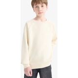 DeFacto Erkek Çocuk Bisiklet Yaka Basic Düz Okul Sweatshirt E8415A825AU - 8 - 9 Yaş - Bej-BG734