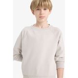 DeFacto Erkek Çocuk Bisiklet Yaka Basic Düz Okul Sweatshirt E8415A825AU - 9 - 10 Yaş - Gri-GR94