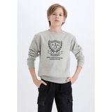 DeFacto Erkek Çocuk Bisiklet Yaka Baskılı İçi Yumuşak Tüylü Sweatshirt D6223A824CW - Gri-GR210 - 5 - 6 Yaş