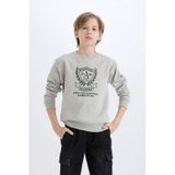 DeFacto Erkek Çocuk Bisiklet Yaka Baskılı İçi Yumuşak Tüylü Sweatshirt D6223A824CWGR210