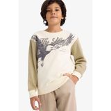 DeFacto Erkek Çocuk Bisiklet Yaka Baskılı İçi Yumuşak Tüylü Sweatshirt G5554A825CW