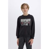 DeFacto Erkek Çocuk Bisiklet Yaka Baskılı Sweatshirt D3038A824WN - 9 - 10 Yaş - Antrasit-AR206