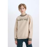 DeFacto Erkek Çocuk Bisiklet Yaka Baskılı Sweatshirt D3054A824WN