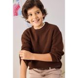 DeFacto Erkek Çocuk Bisiklet Yaka Triko Kazak, 11-12 Yaş, G4608A825CW, Kahve-BN340, Erkek Çocuklar