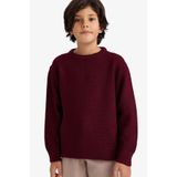 DeFacto Erkek Çocuk Bisiklet Yaka Triko Kazak, 11-12 Yaş, G5563A825WN, Bordo-BR464, Erkek Çocuklar