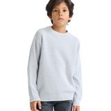 DeFacto Erkek Çocuk Bisiklet Yaka Triko Kazak, 8-9 Yaş, F2065A825AU, Gri-GR210, Erkek Çocuklar