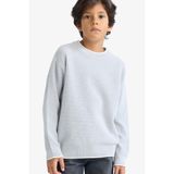 DeFacto Erkek Çocuk Bisiklet Yaka Triko Kazak, 9-10 Yaş, F2065A825AU, Gri-GR210, Erkek Çocuklar